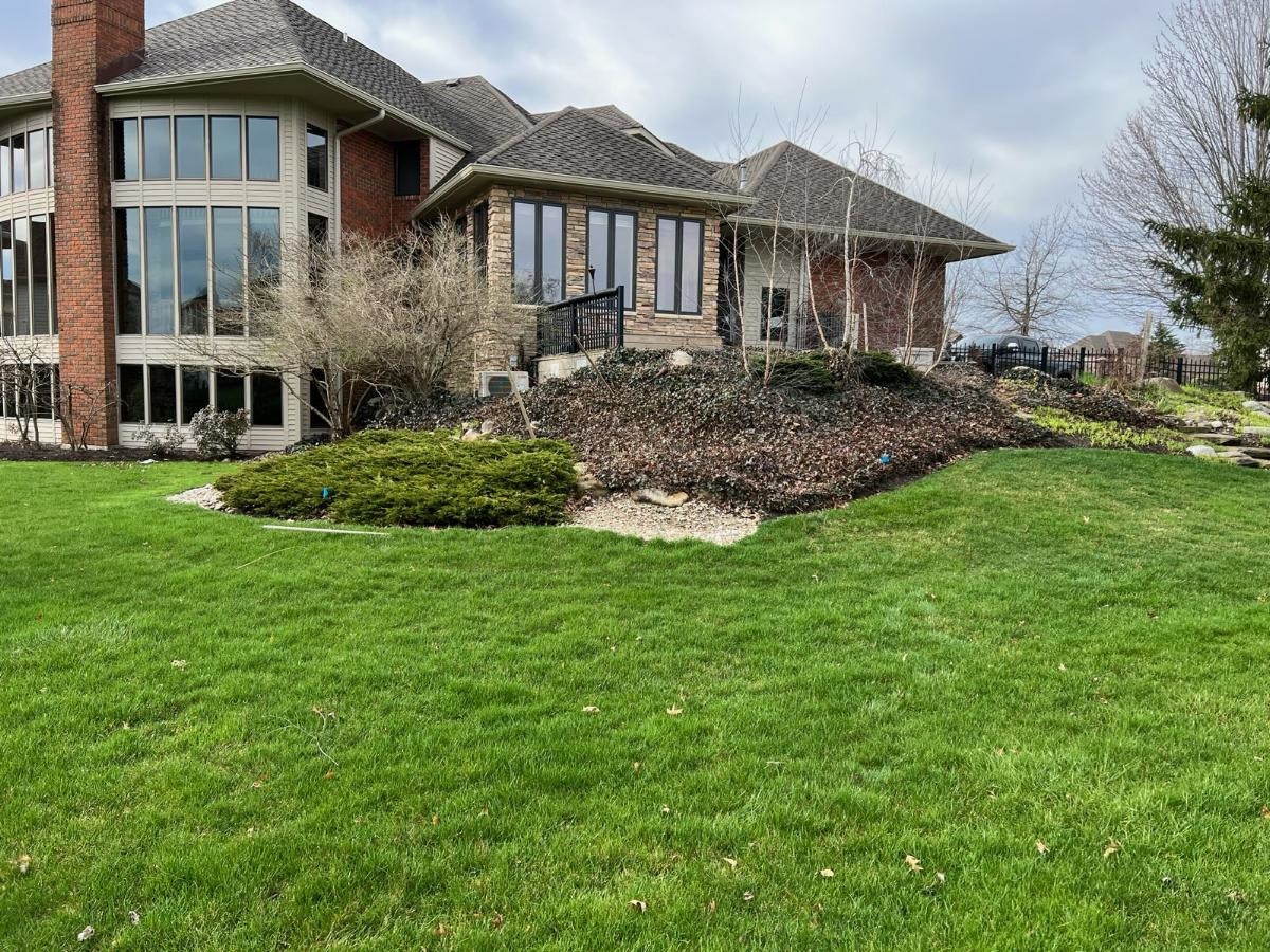 yard before landscaping